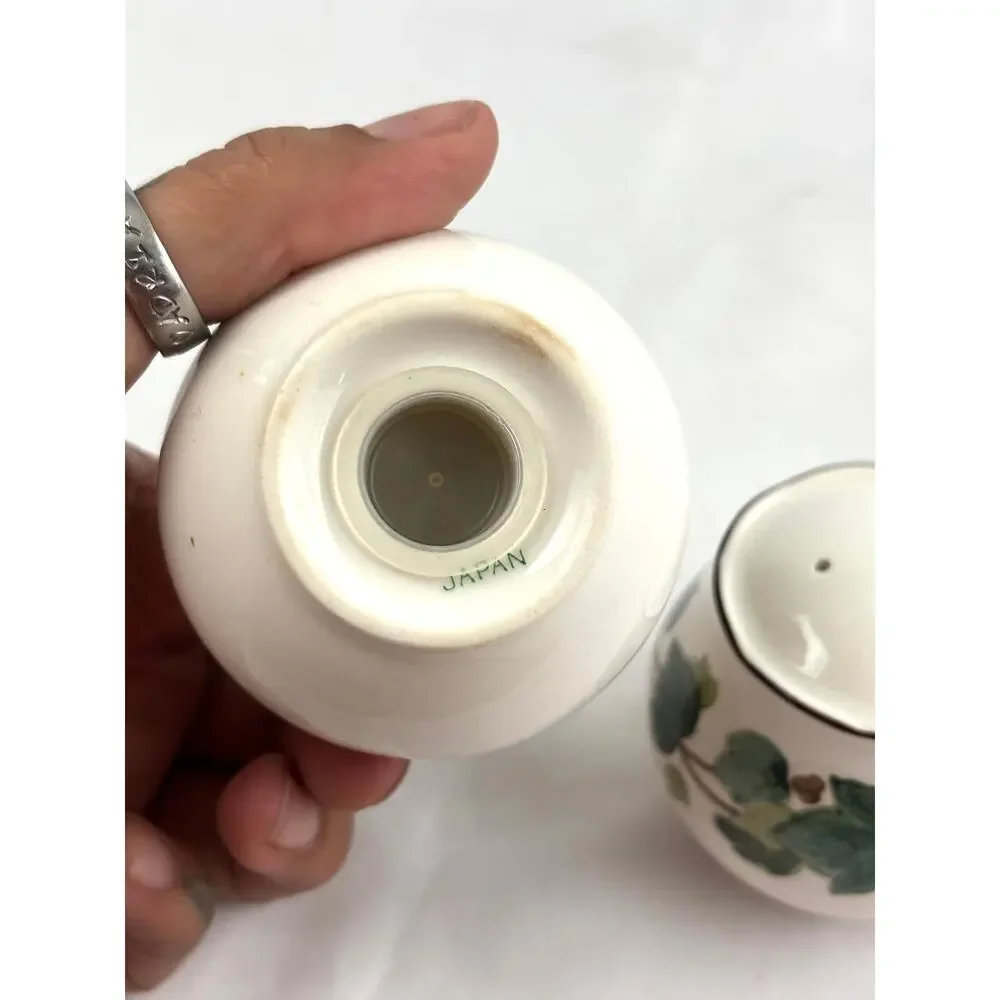 VTG‎ Green Ivy Plant Salt and Pepper Ceramic Shakers Japan Set